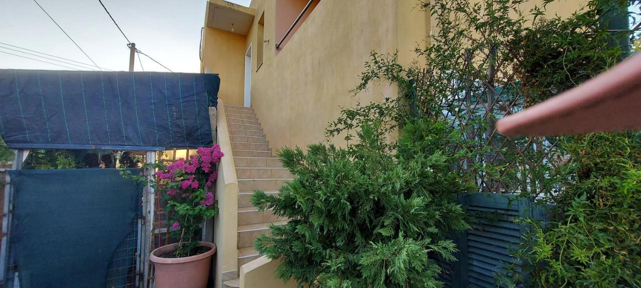 Apartment Billy's Artemida (Attica)
